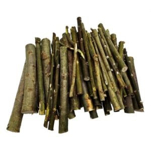 12cm gluosnio šakelės – skanėstas graužikams, triušiams ir šinšiloms